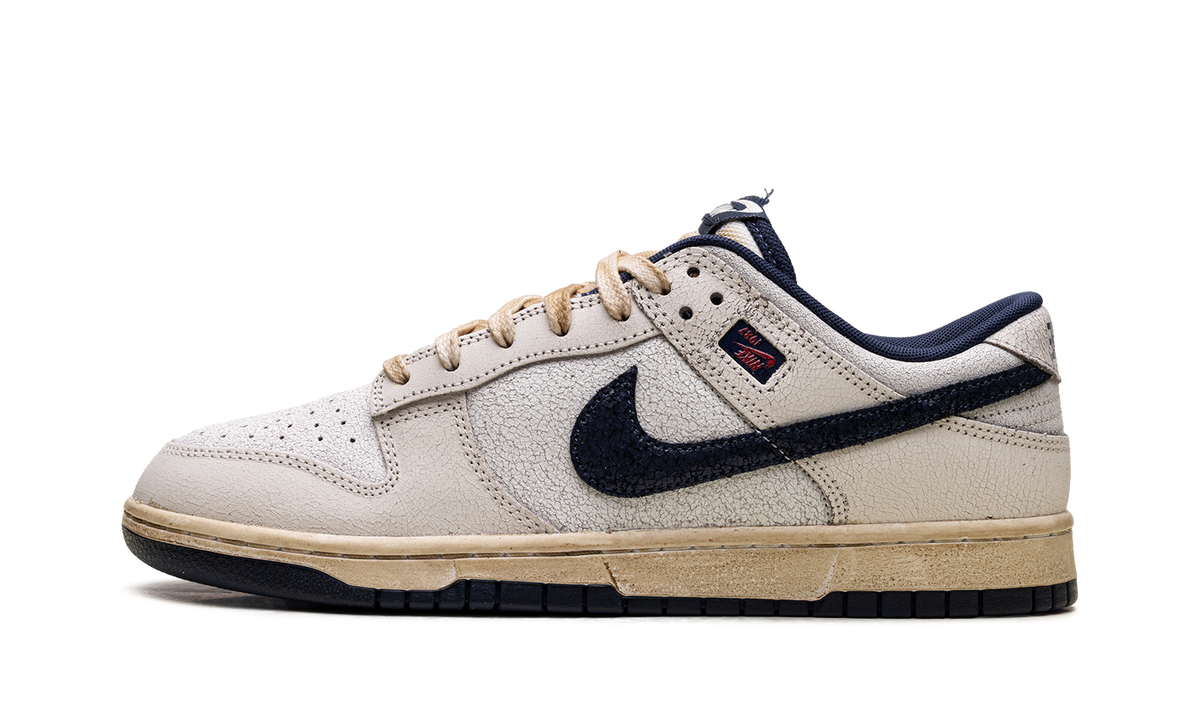 Nike Dunk Low Stranger Things Phantom