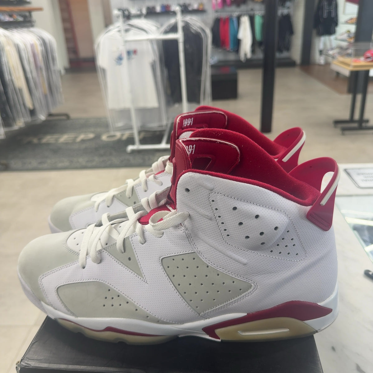 Jordan 6 Retro Alternate Hare