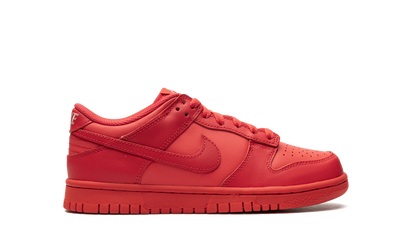 Nike Dunk Low Track Red (GS)