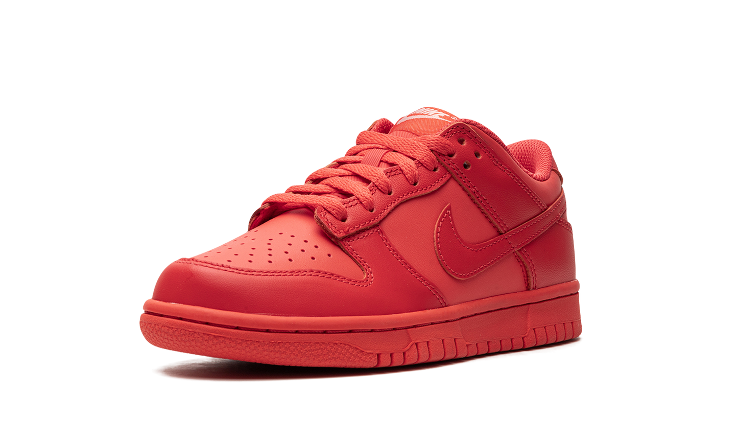 Nike Dunk Low Track Red (GS)