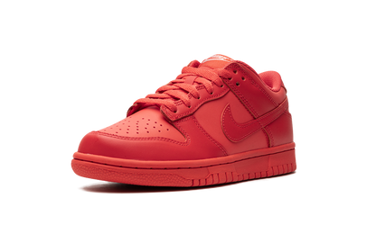 Nike Dunk Low Track Red (GS)
