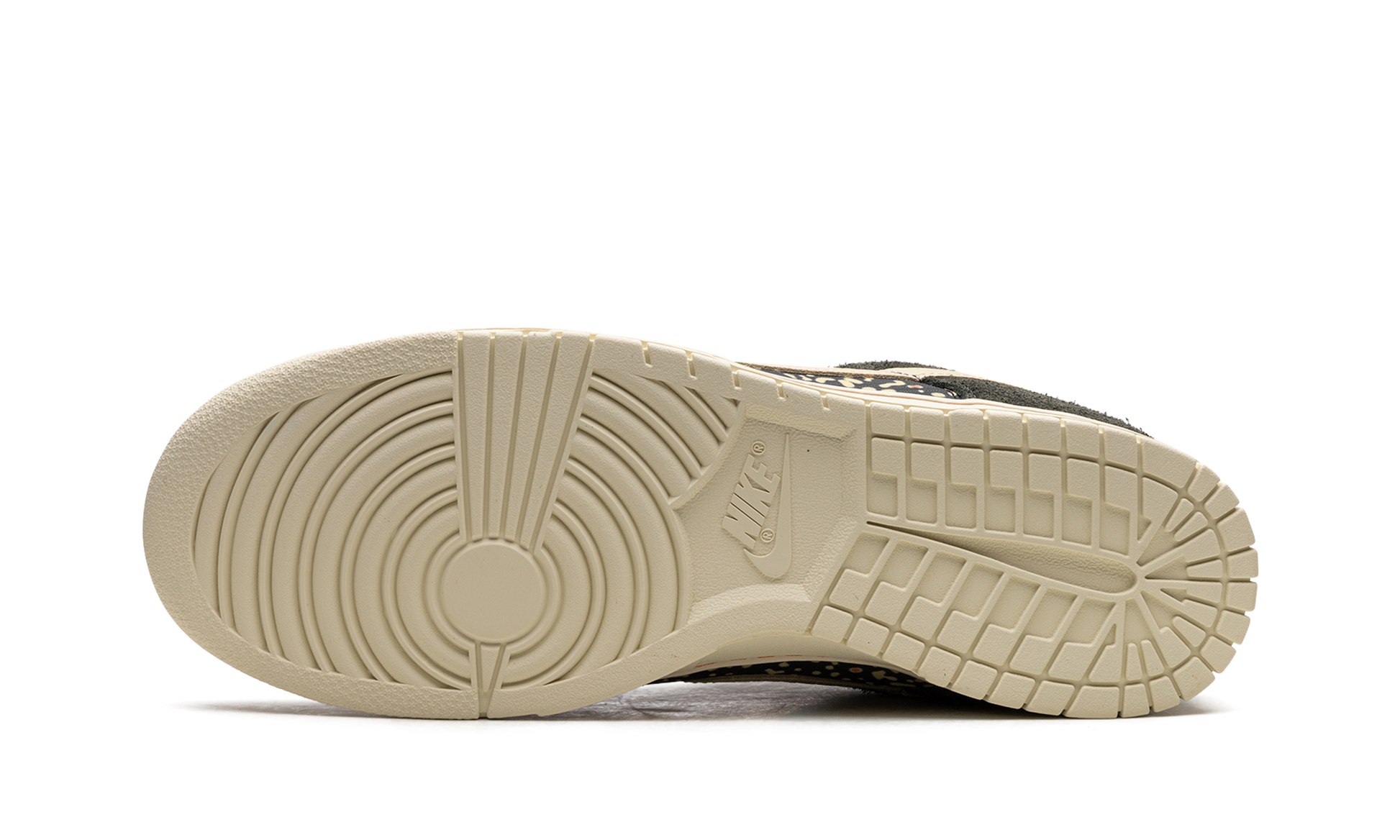 Nike Dunk Low SE Gone Fishing Rainbow Trout