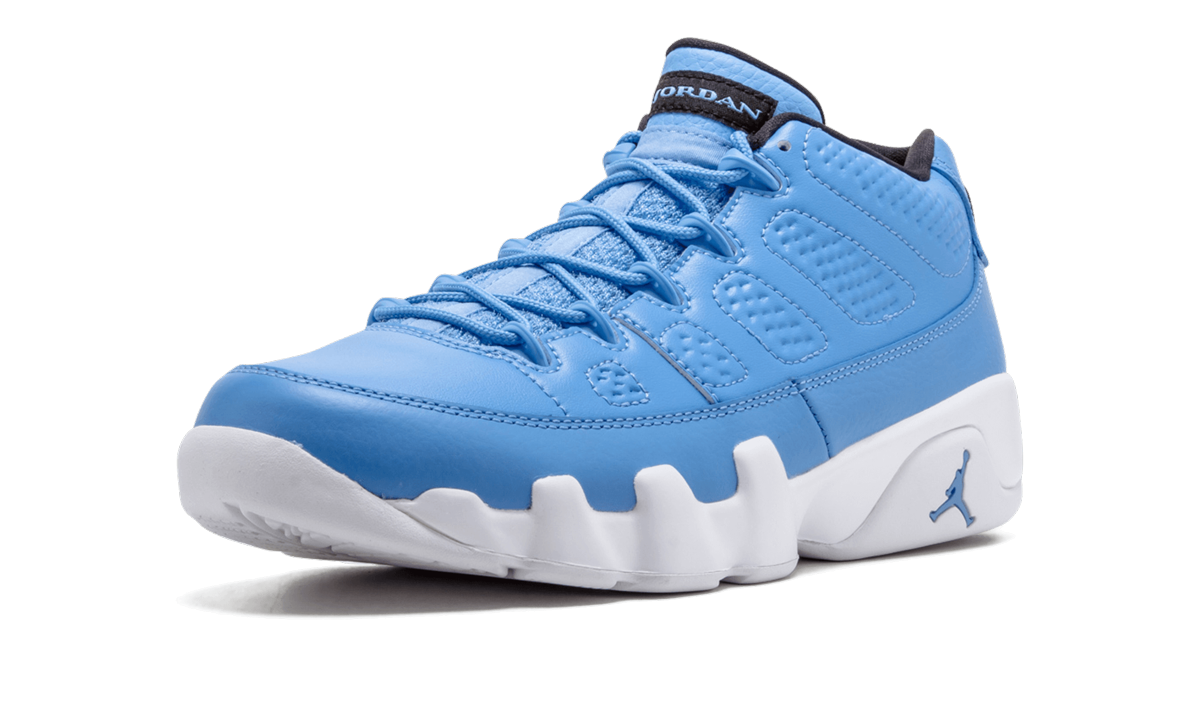 Jordan 9 Retro Low Pantone