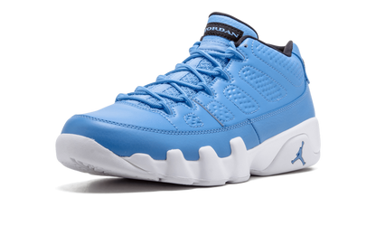 Jordan 9 Retro Low Pantone