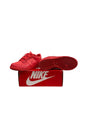 Nike Dunk Low Track Red (GS)