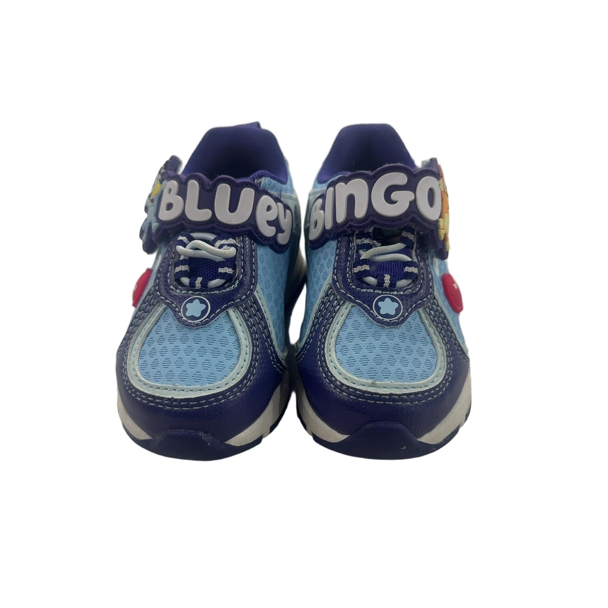 Bluey Ground Up 