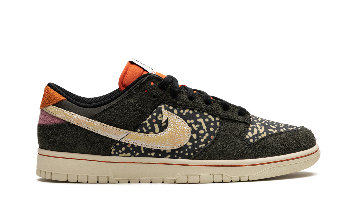 Nike Dunk Low SE Gone Fishing Rainbow Trout