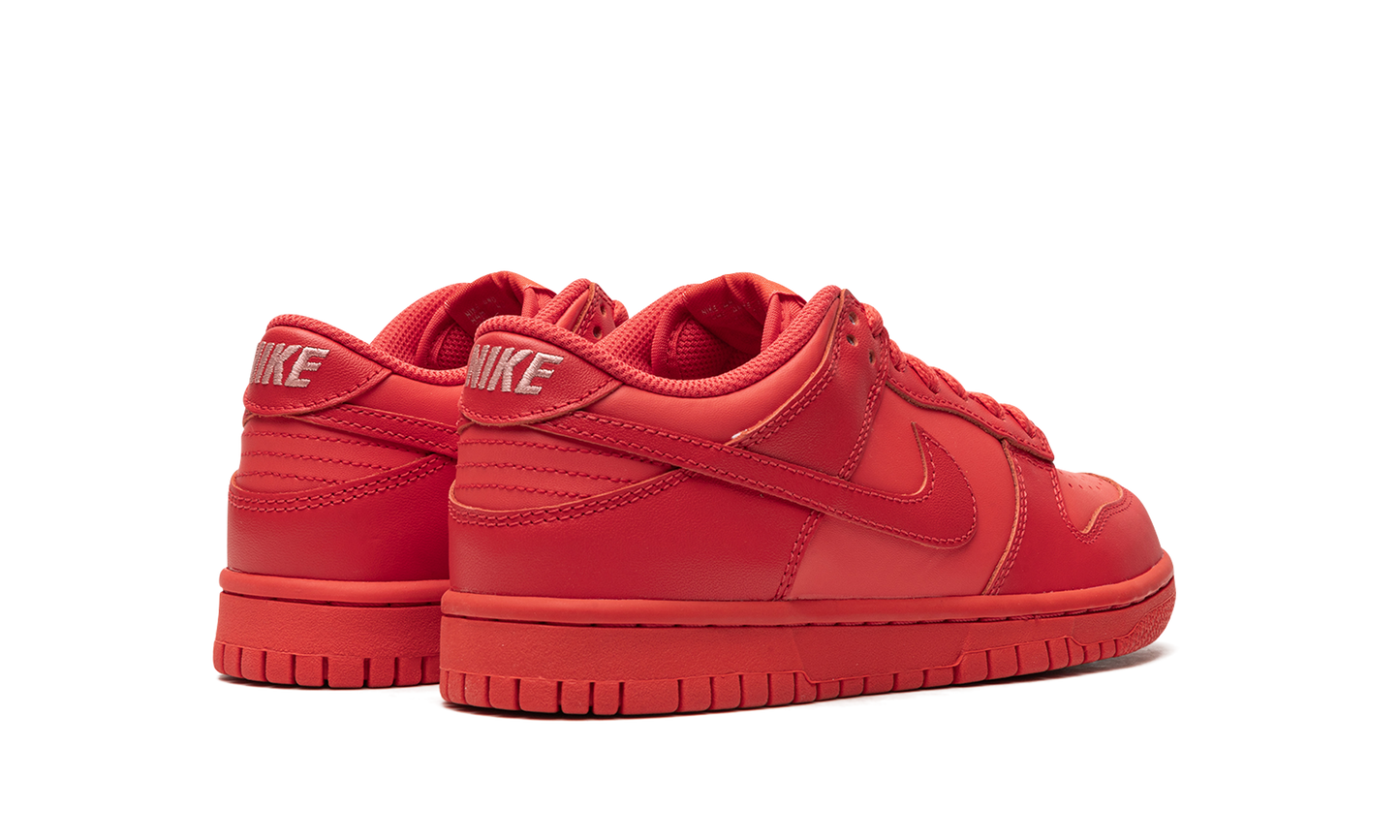 Nike Dunk Low Track Red (GS)