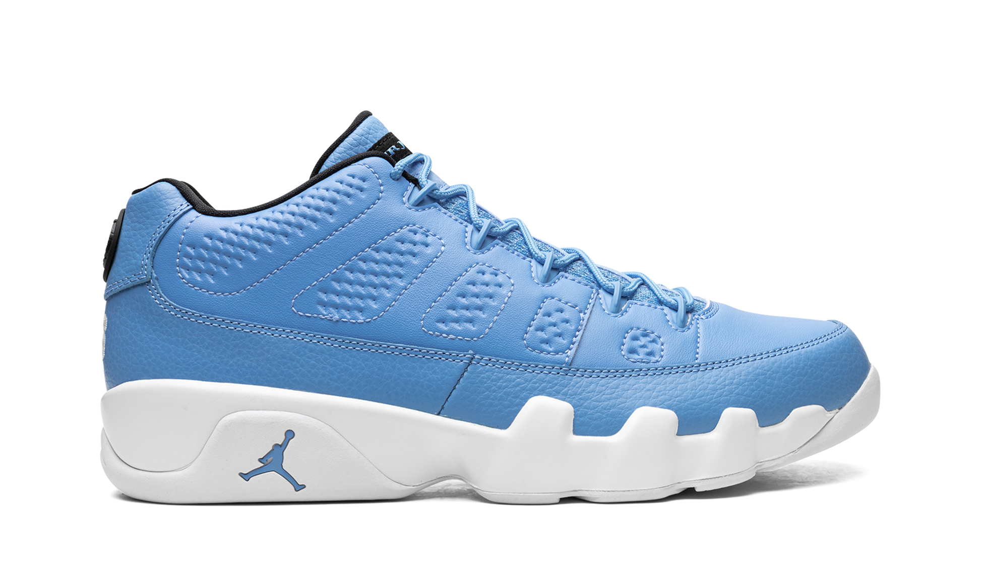 Jordan 9 Retro Low Pantone