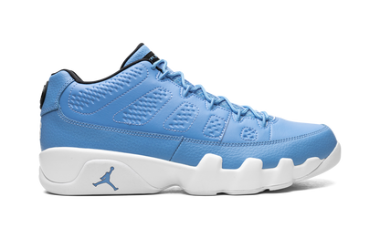 Jordan 9 Retro Low Pantone