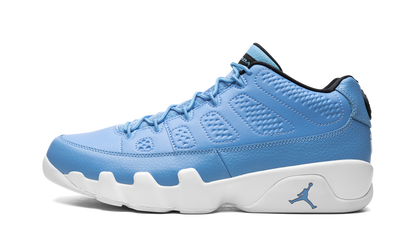 Jordan 9 Retro Low Pantone