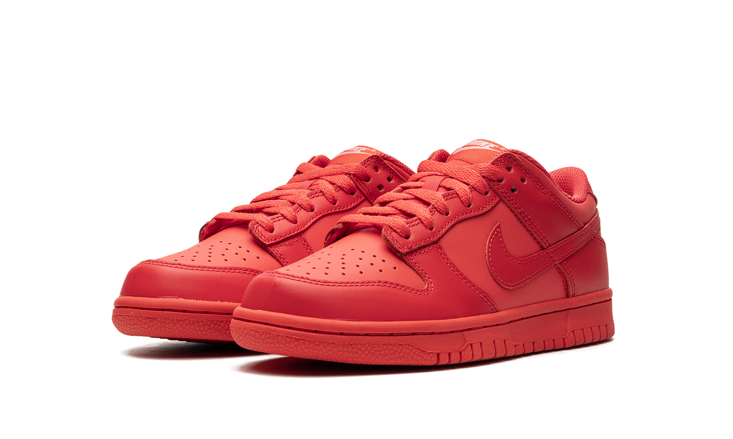 Nike Dunk Low Track Red (GS)