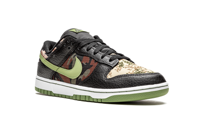 Nike Dunk Low Crazy Camo