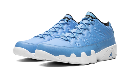 Jordan 9 Retro Low Pantone