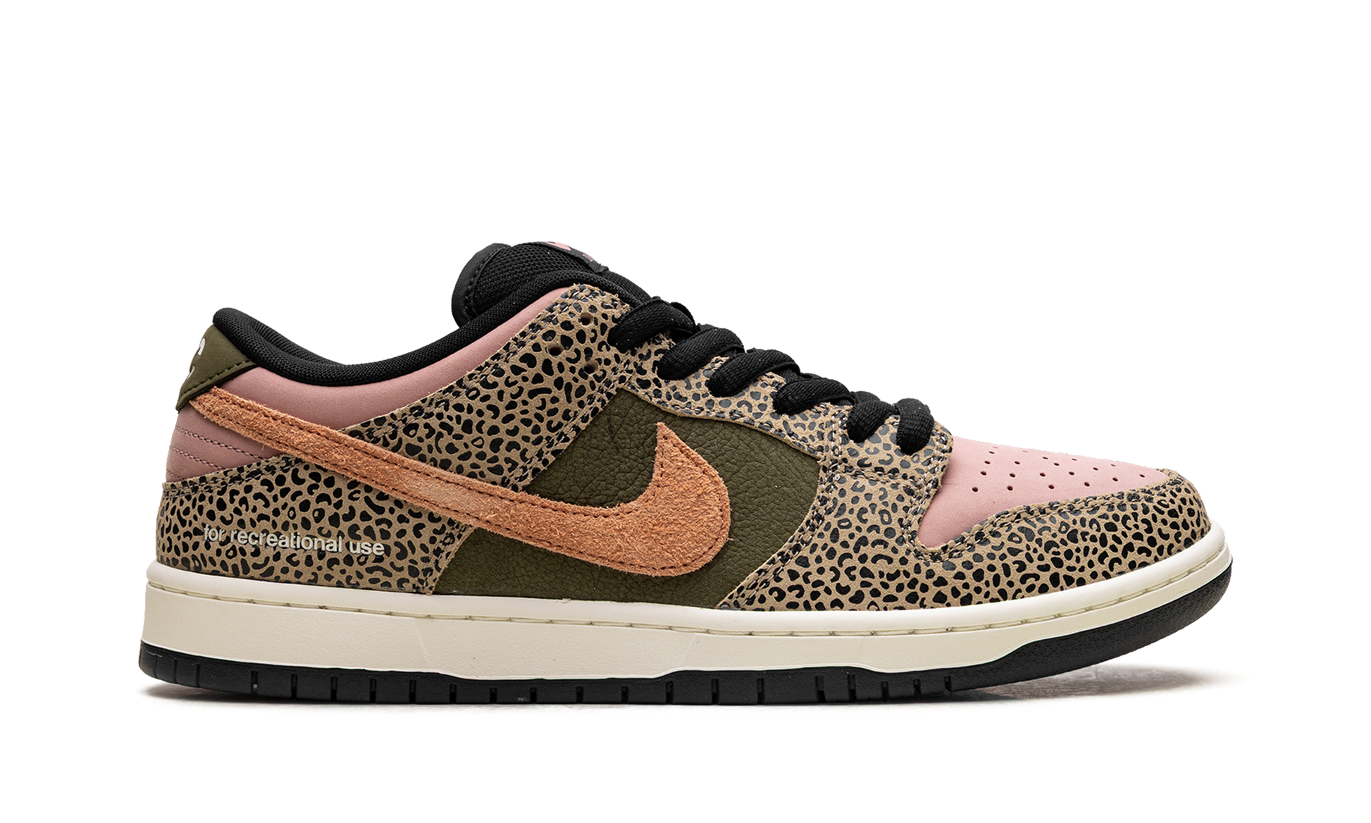 Nike SB Dunk Low Arts-Rec