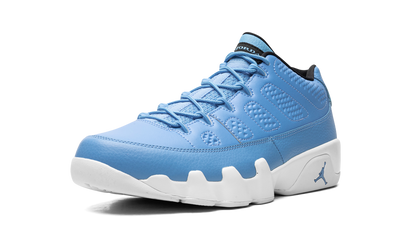 Jordan 9 Retro Low Pantone