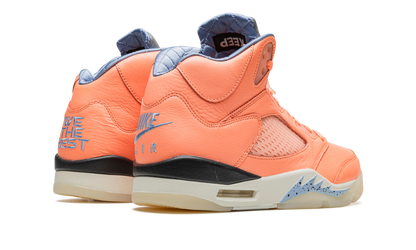Jordan 5 Retro DJ Khaled We The Best Crimson Bliss