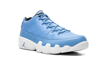 Jordan 9 Retro Low Pantone