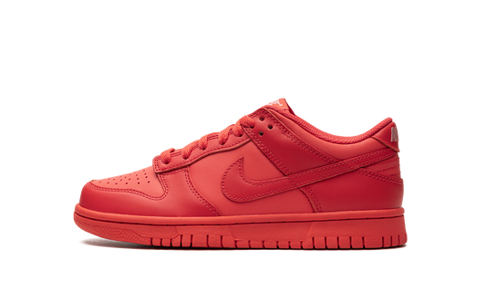 Nike Dunk Low Track Red (GS)